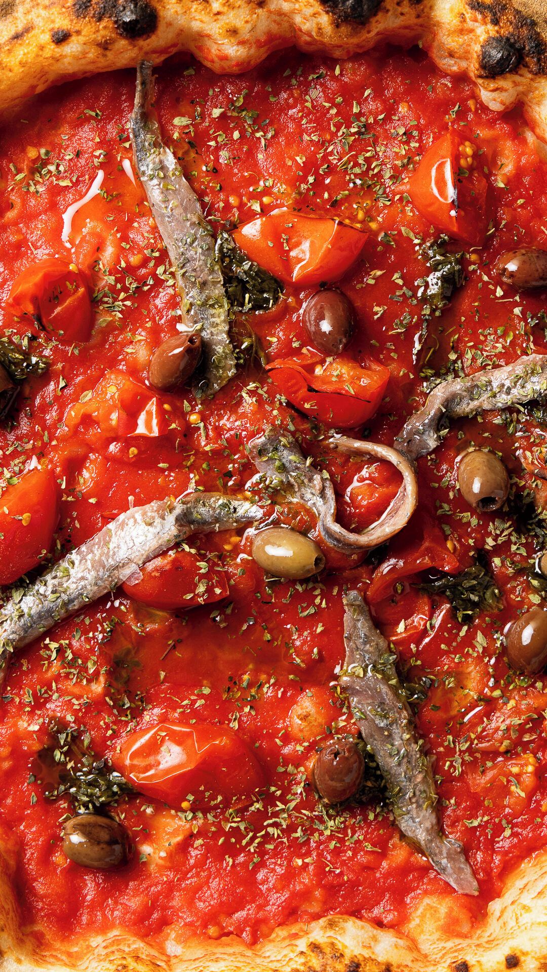 WhatsApp Image 2026-03-12 at 09.38.19i